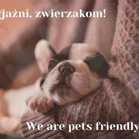 Willa Jordanowka Czorsztyn Extérieur photo