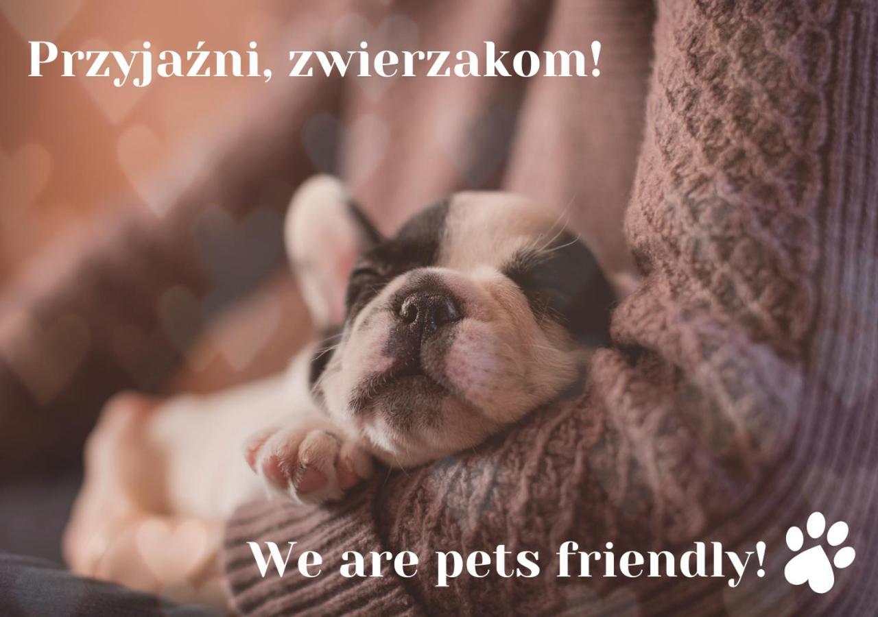 Willa Jordanowka Czorsztyn Extérieur photo